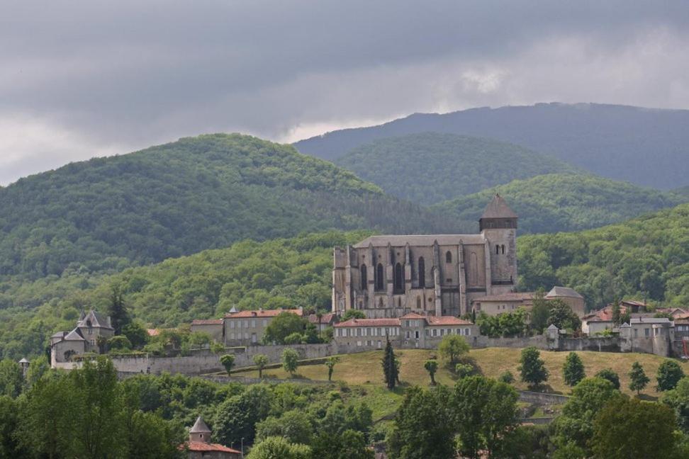 Chateau De Vidaussan Labroquere エクステリア 写真