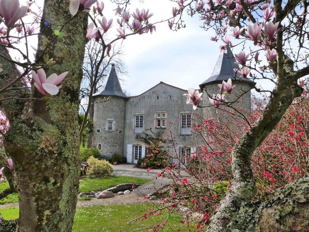 Chateau De Vidaussan Labroquere エクステリア 写真