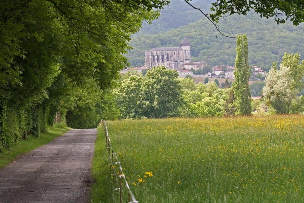 Chateau De Vidaussan Labroquere エクステリア 写真