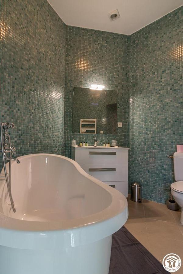 Chateau De Vidaussan Labroquere エクステリア 写真